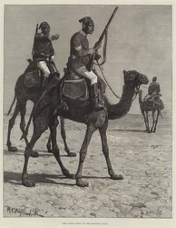 The Camel Corps of the Egyptian Army